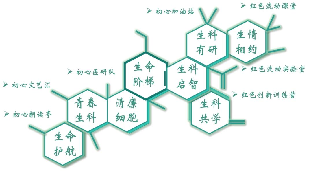 构建具有学科底色的品牌矩阵 推进高校基层组织党建业务深度融合