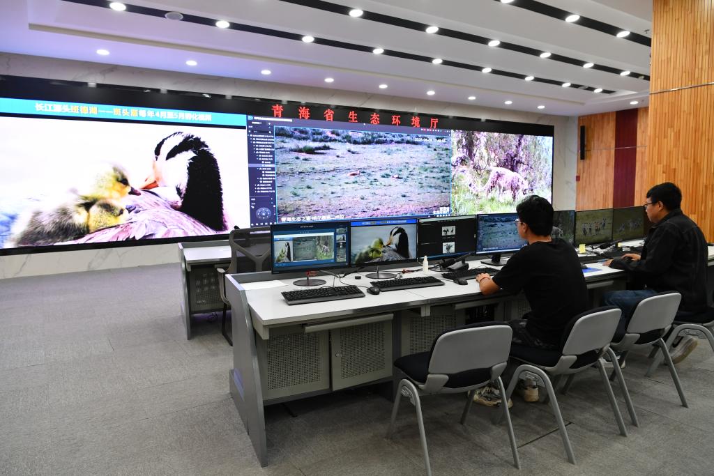 习近平总书记关切事丨生态守护亮“新”技